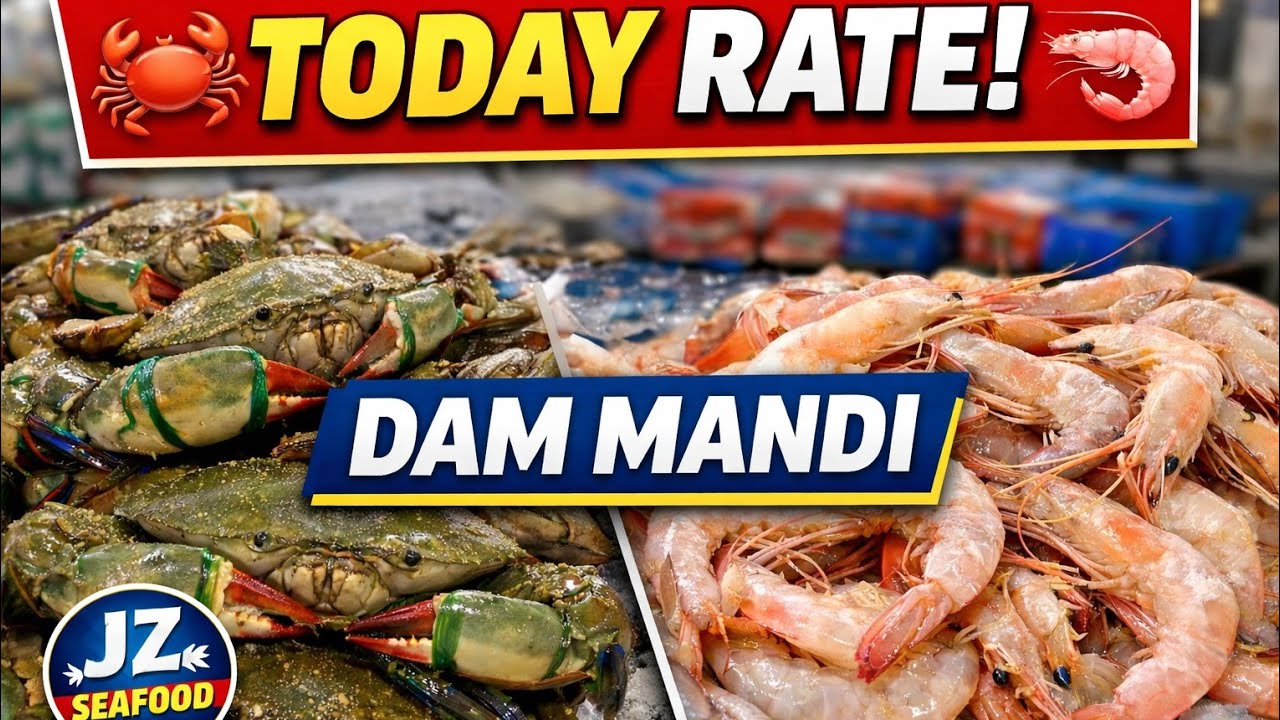 Today Karachi Fish Harbour Dam Mandi Update | Crabs, Prawns & Fish Rates Today 🦀🦐🐟