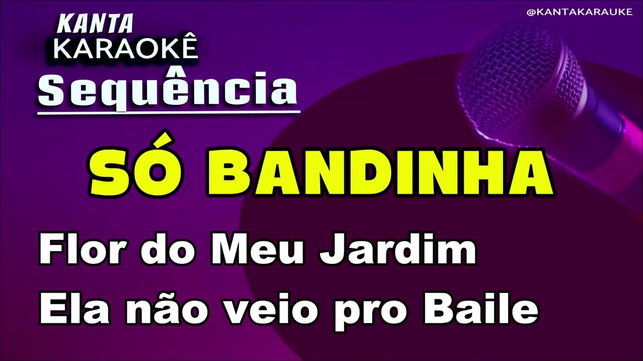 🎤Sequência de bandinhas karaokê - Flor do meu Jardim - Ela não veio pro baile
