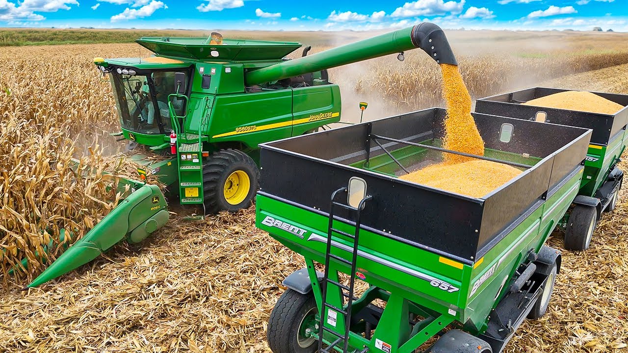 Earliest Start to Harvest Ever (Bad Yields)
