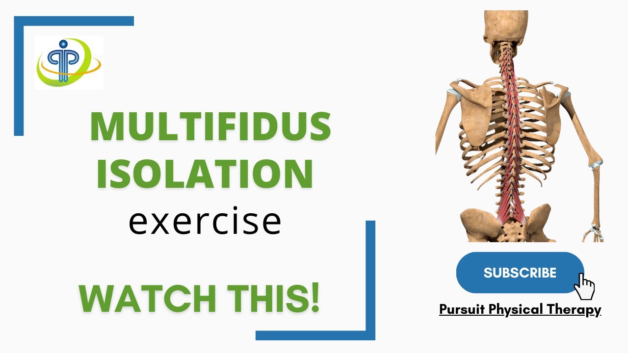 Multifidus isolation exercise | Pursuit Physical Therapy