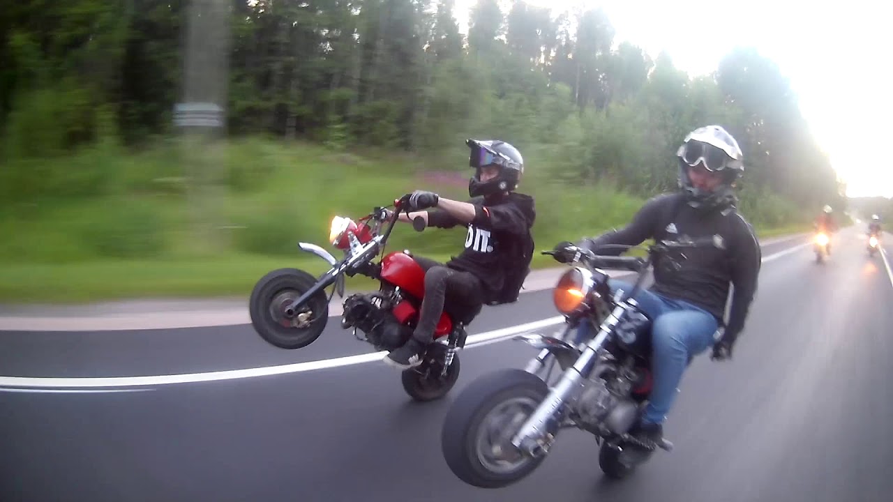 Monkey Nightwildout // 140cc & 125cc
