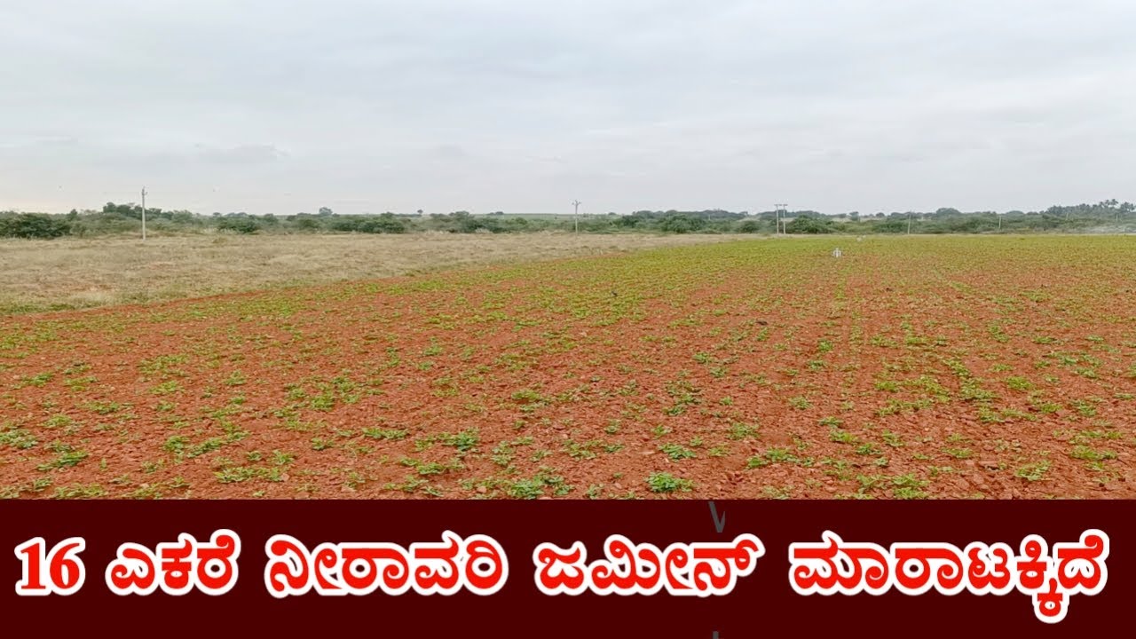 General Property Agriculture Land Sale Near By Parashurampur Challakere Taluk Chitradurga District