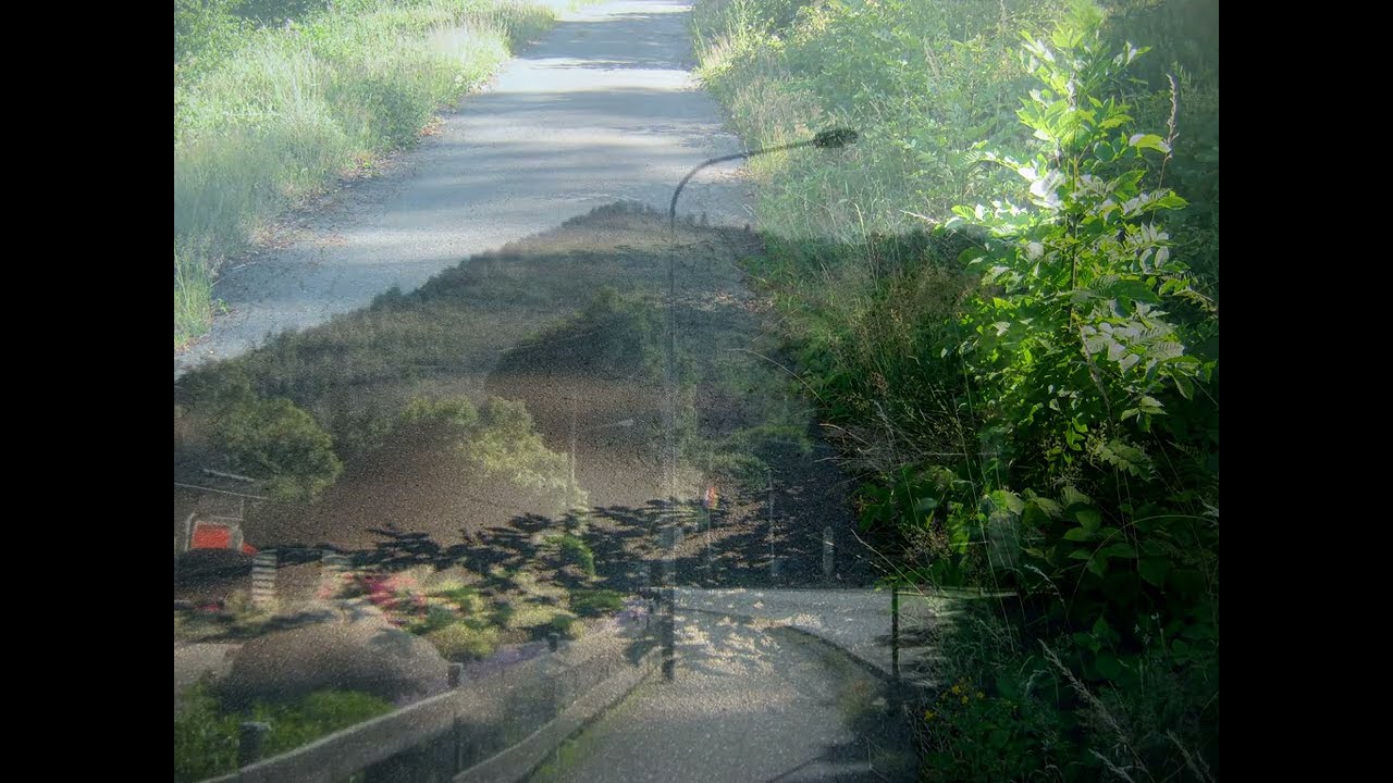 Harz - Westliches Okertal (Kahberg, rund um den Eichenberg, Lindtalerweg)