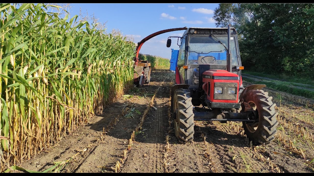 06 - Zetor 7245 / Toron + Kemper Champion 3000 - Siláže 2022