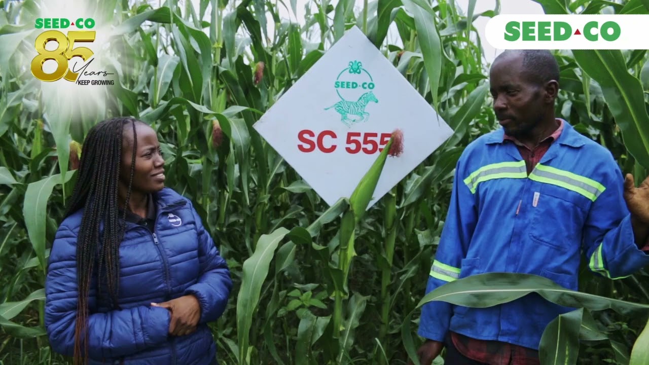 Field Insight SC 555 Mzimba South