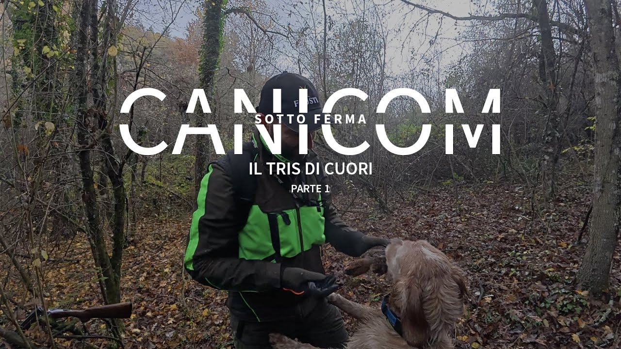 HUNTING WITH CANICOM | Sotto Ferma | Il Tris di Cuori pt1