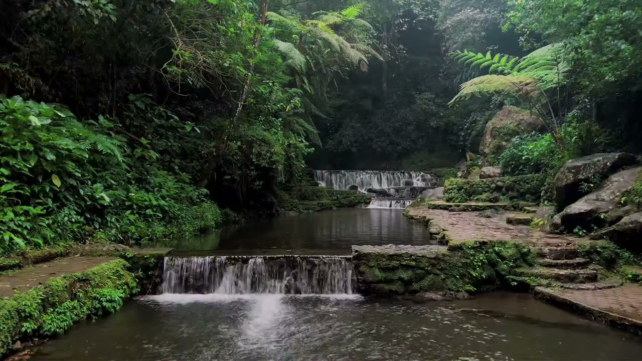 Deep River Ambience for Sleep, Relaxation & Stress Healing | Peaceful Water Sounds for Quiet Comfort