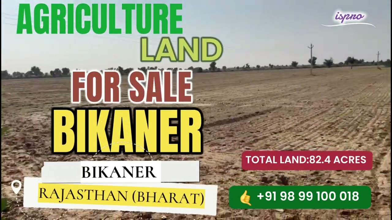 AGRICULTURE LAND FOR SALE । BIKANER ।  RAJ । CALL: +91 98 99 100 018 
