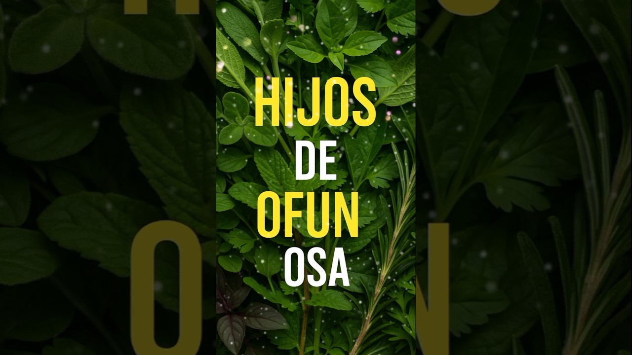 🌏Caracter&iacute;sticas//HIJOS DE OFUN OSA.