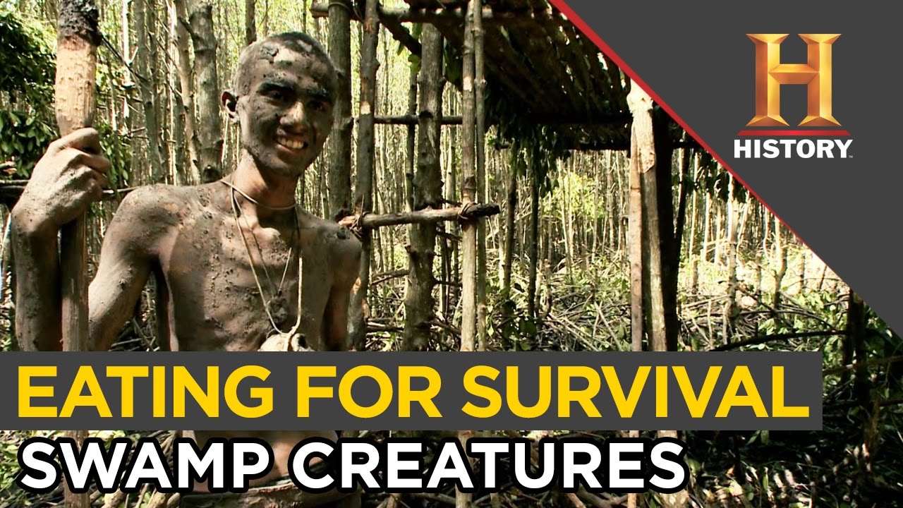 Surviving the Swamp: Eating Lizard, Monkey and Snail | Special Forces
