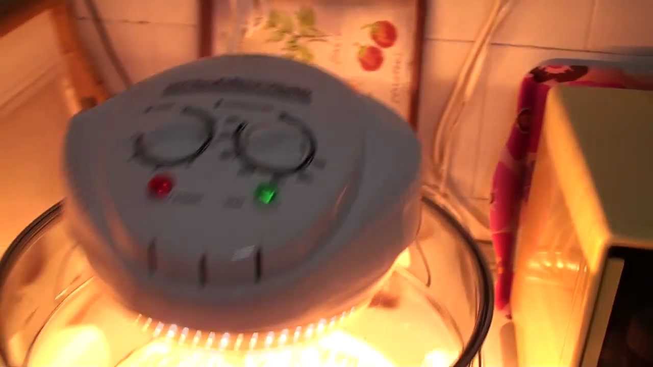 Horneando una pizza en un horno de convección