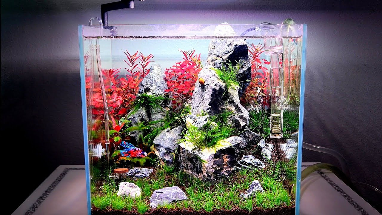 Making a Nano Planted Aquarium - Seiryu Stone Iwagumi