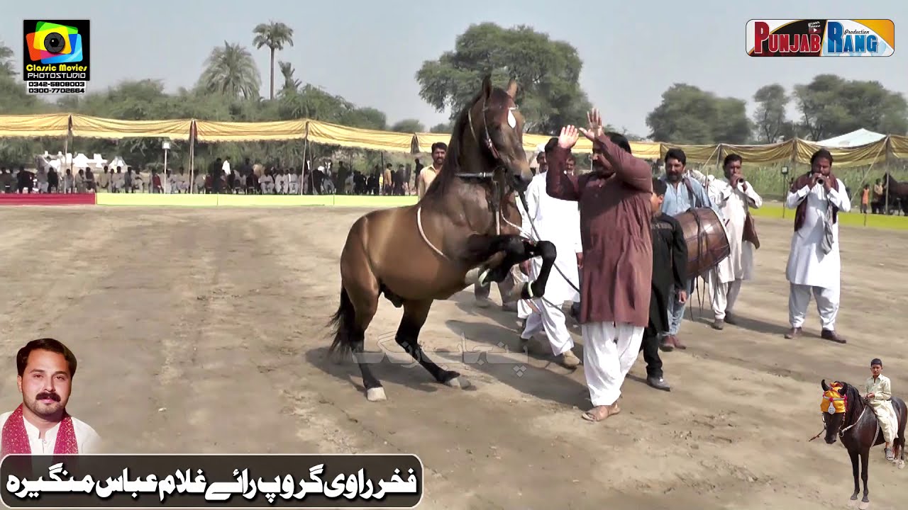 Adhar  ll Jugno l All Punjab Horse Dance l Ravi vs Chana vs Nelie l 27 Oct 2020Marik Shorkot
