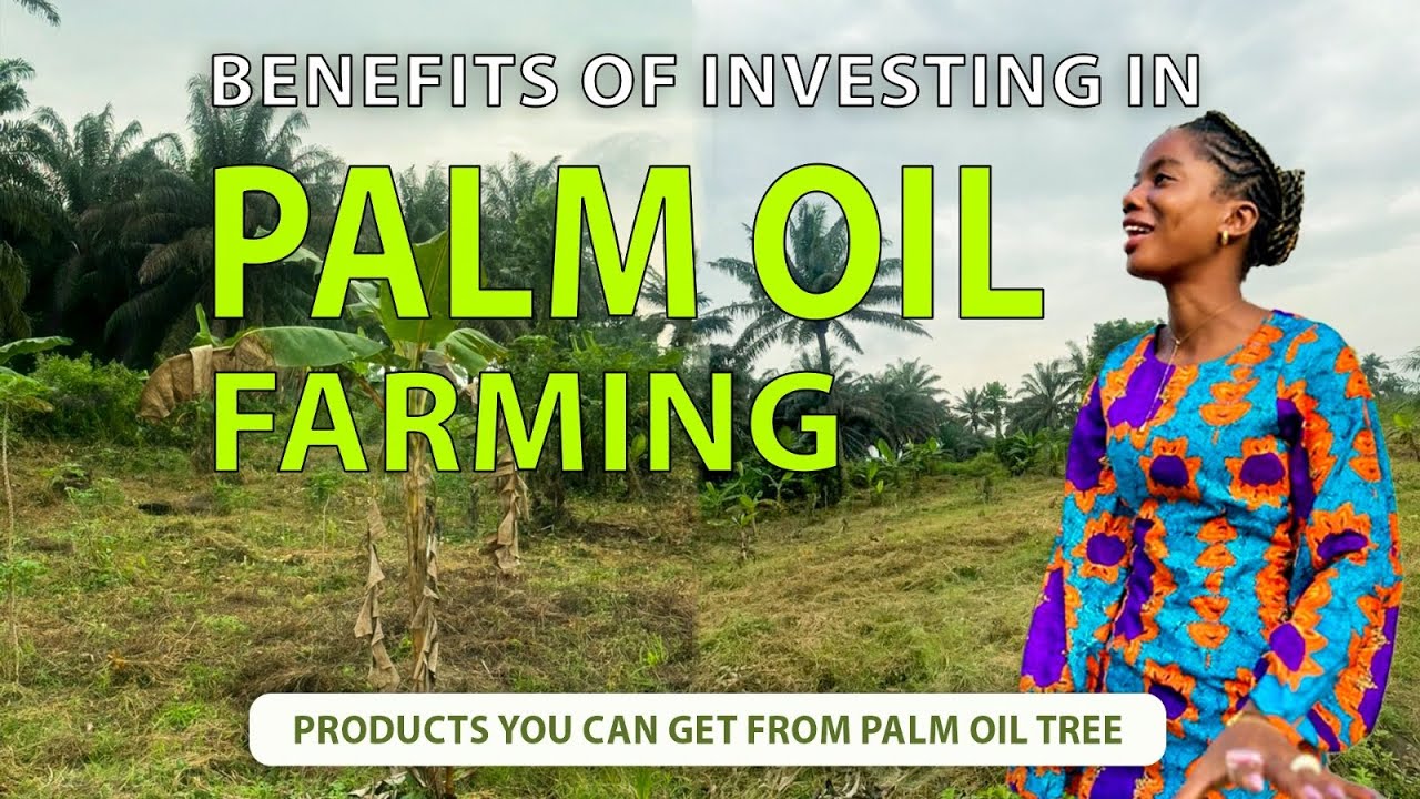 BENEFITS OF INVESTING IN PALM OIL FARMING 