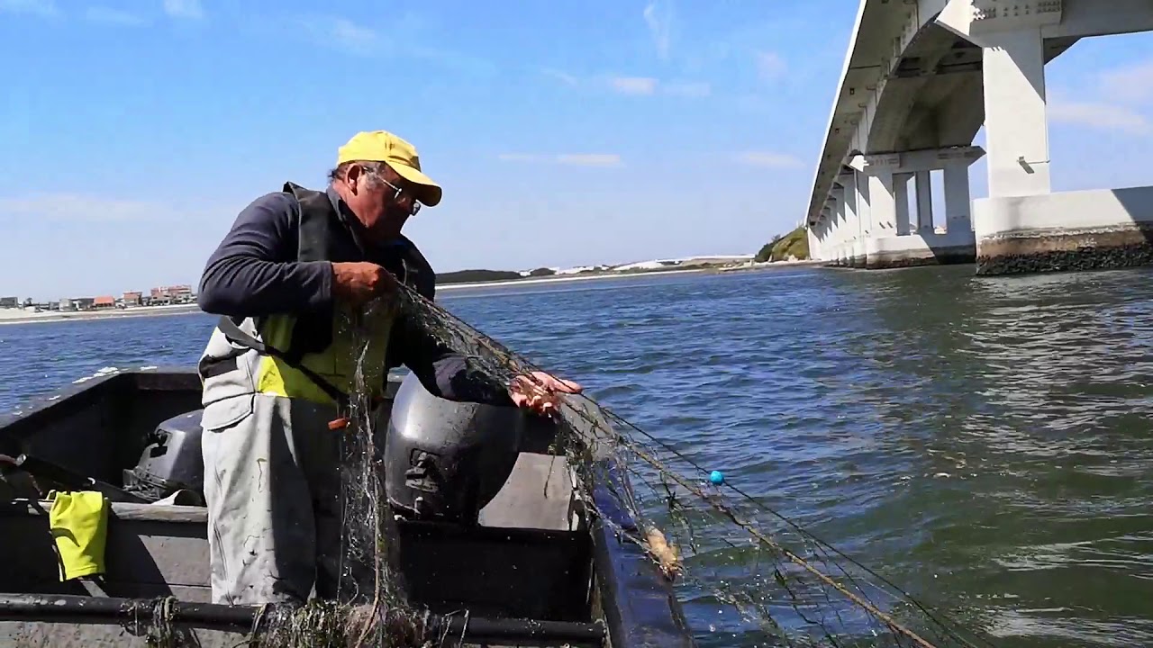 Documentário da Pesca Artesanal na Ria de Aveiro (trailer) 2020