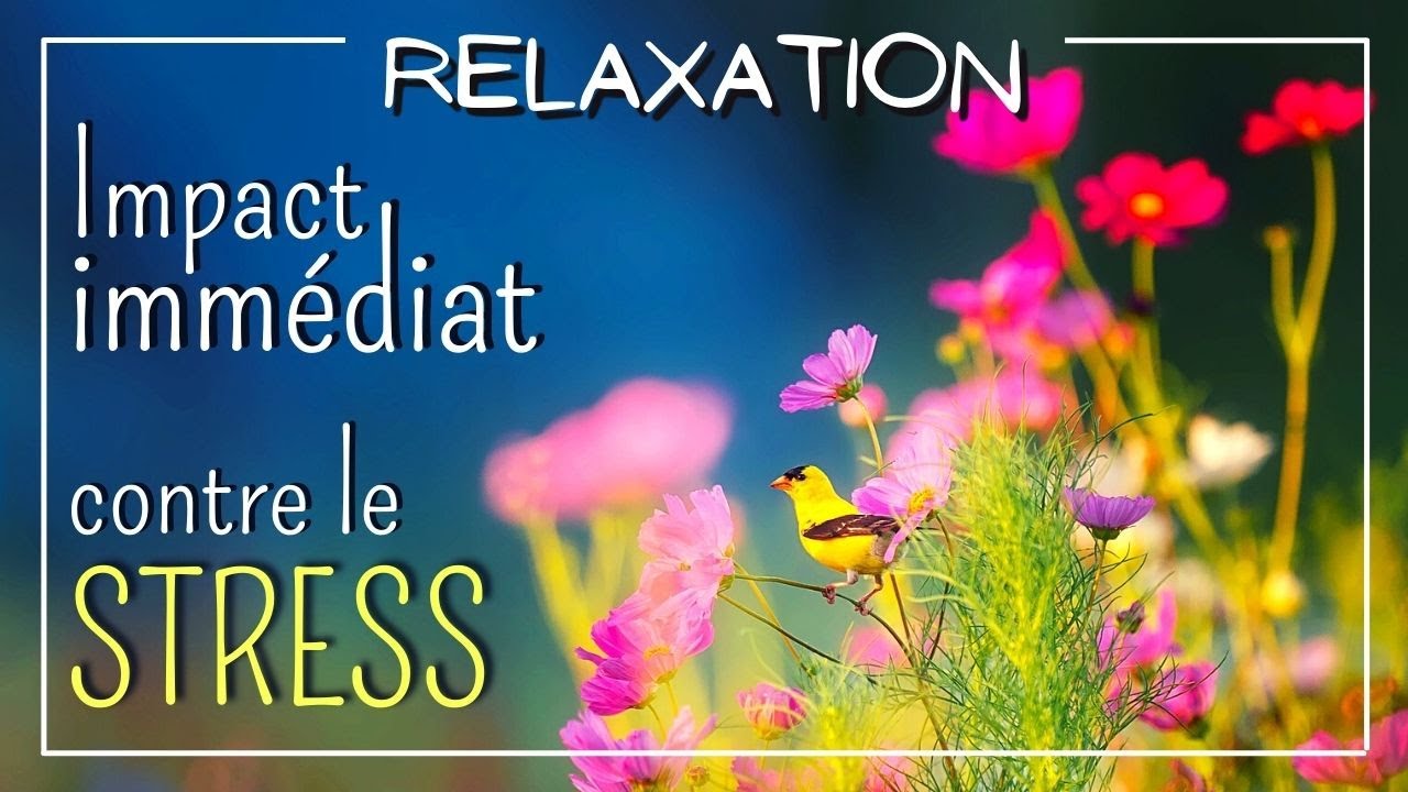 7 minutes pour se libérer du STRESS - Cohérence cardiaque sur affirmations positives