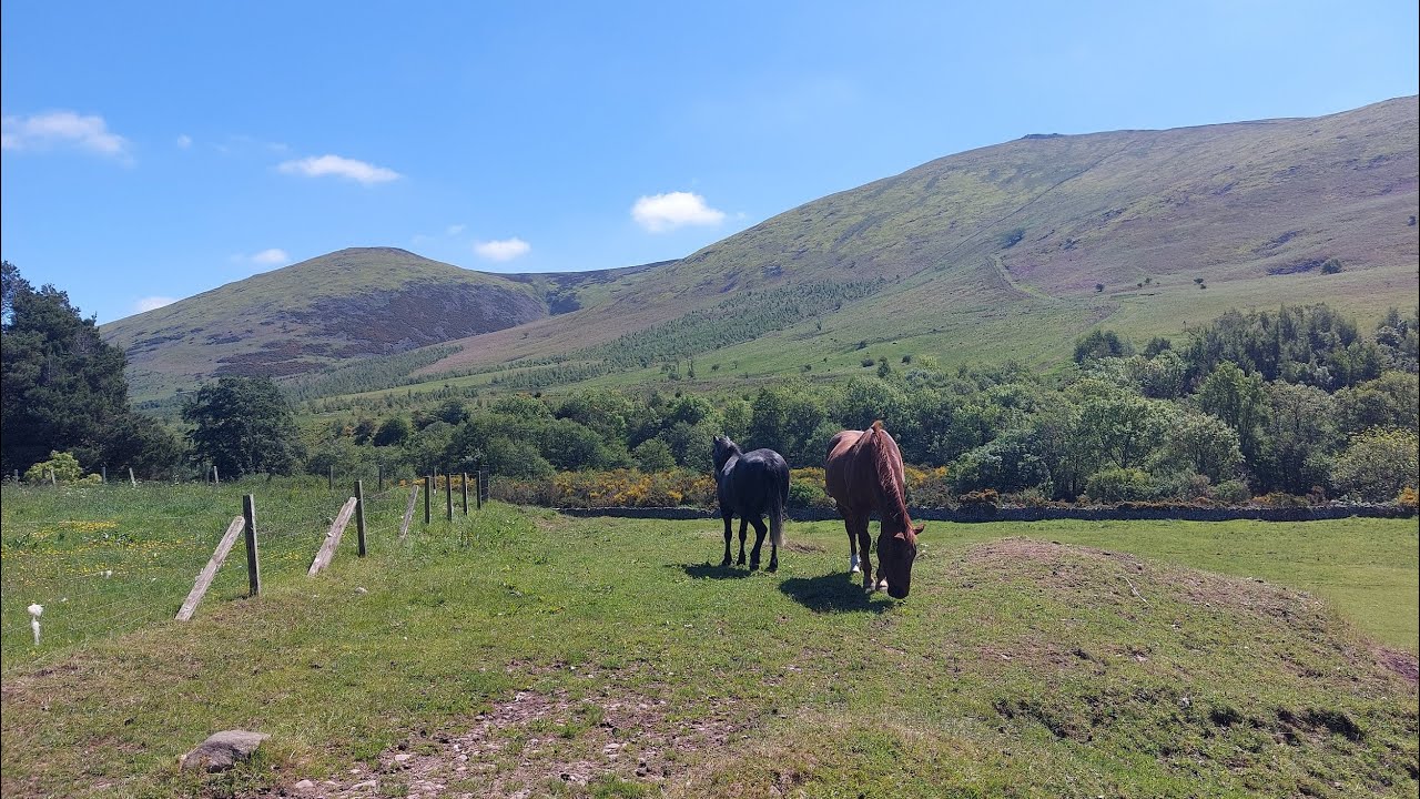 Hethpool Linn Loop #500subs