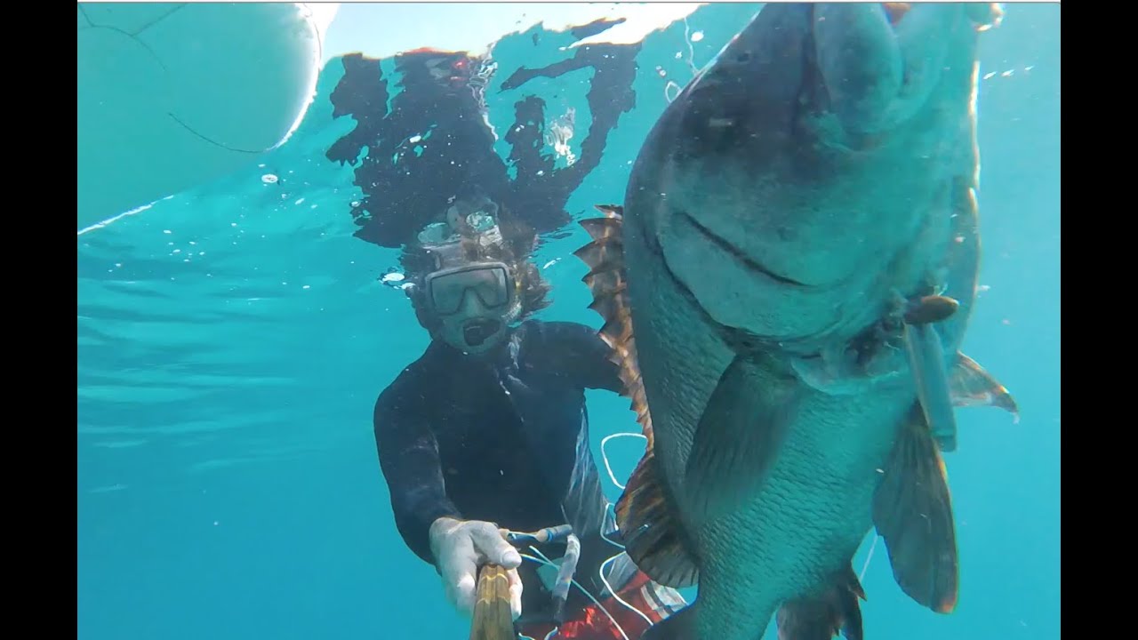 Solo Sailing Hook Reef - Learning By Doing EP37
