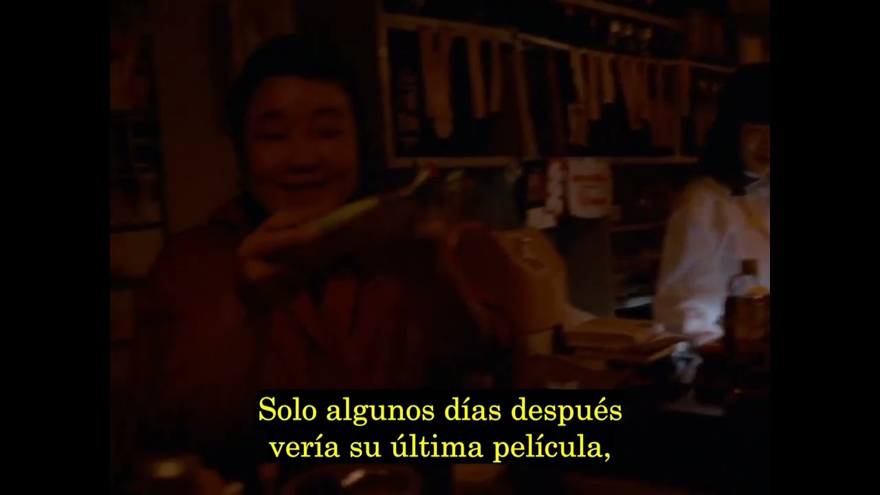 Chris Marker en Tokyo-Ga de Wim Wenders.