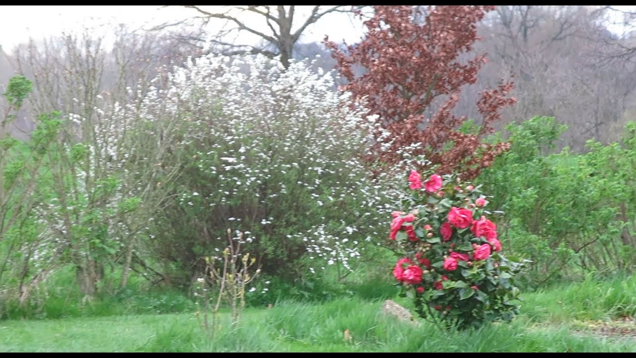 Из зимы - в весну. И дальше - в Италию. 30 марта