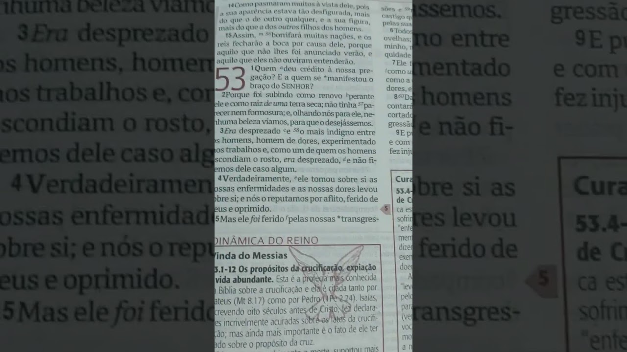 7 de fevereiro de 2026