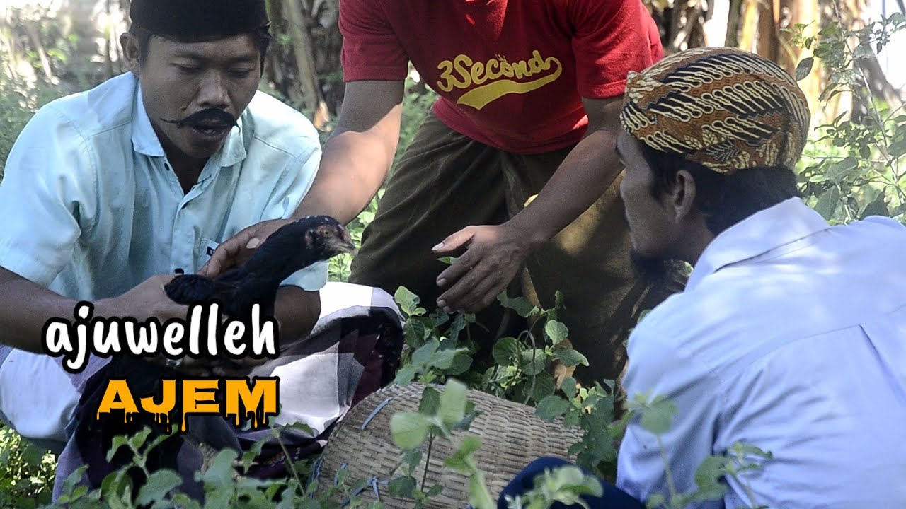 MADURA LUCU..// AJUWELLEH AJEM