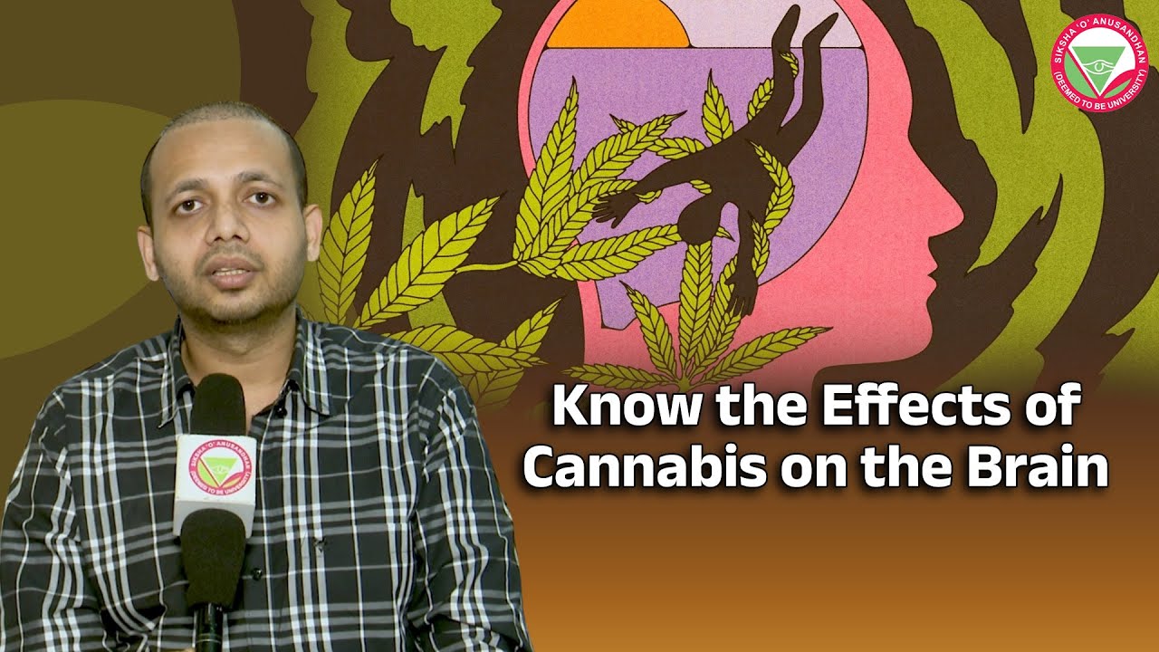 Know the effects of cannabis on the brain | IMS & SUM Hospital