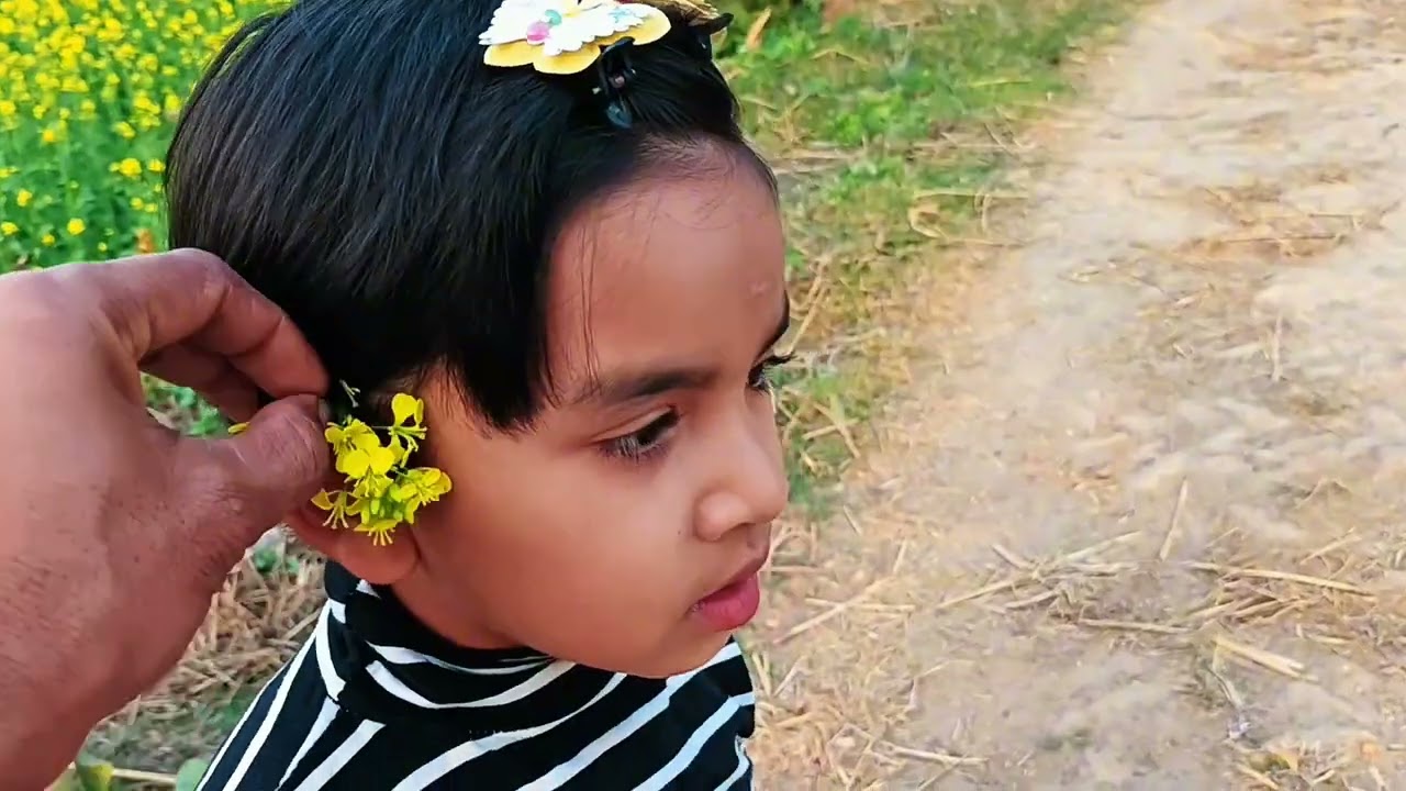 সুন্দর দৃশ্য।  