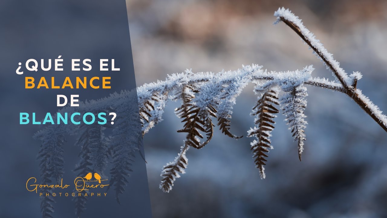 Esto es lo que NO sabías del balance de blancos