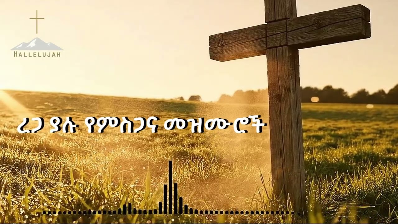 ረጋ ያሉ የምስጋና መዝሙሮች | Gratitude and Worship songs | COVER | Christian Mezmur 2025 | Hallelujah | ሀሌሉያ