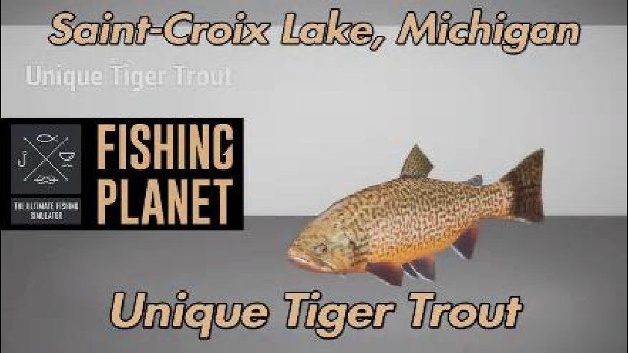Fishing Planet Unique Tiger Trout, Сен-Круа, озеро Мичиган