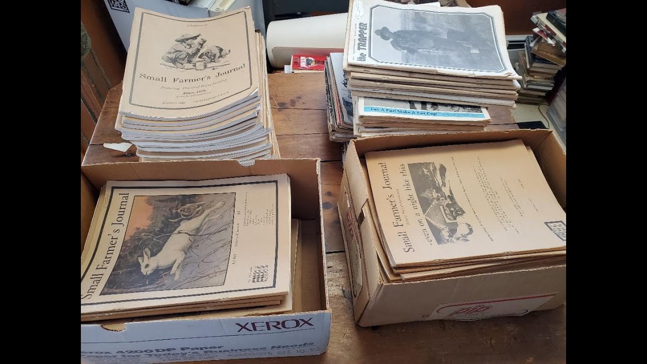 Стоят ли журналы денег? Как я их продаю?