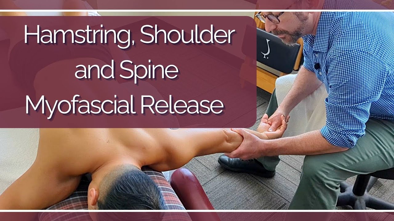 Chiropractic treatment of hamstring , shoulder, clavicle and neck pain ASMR