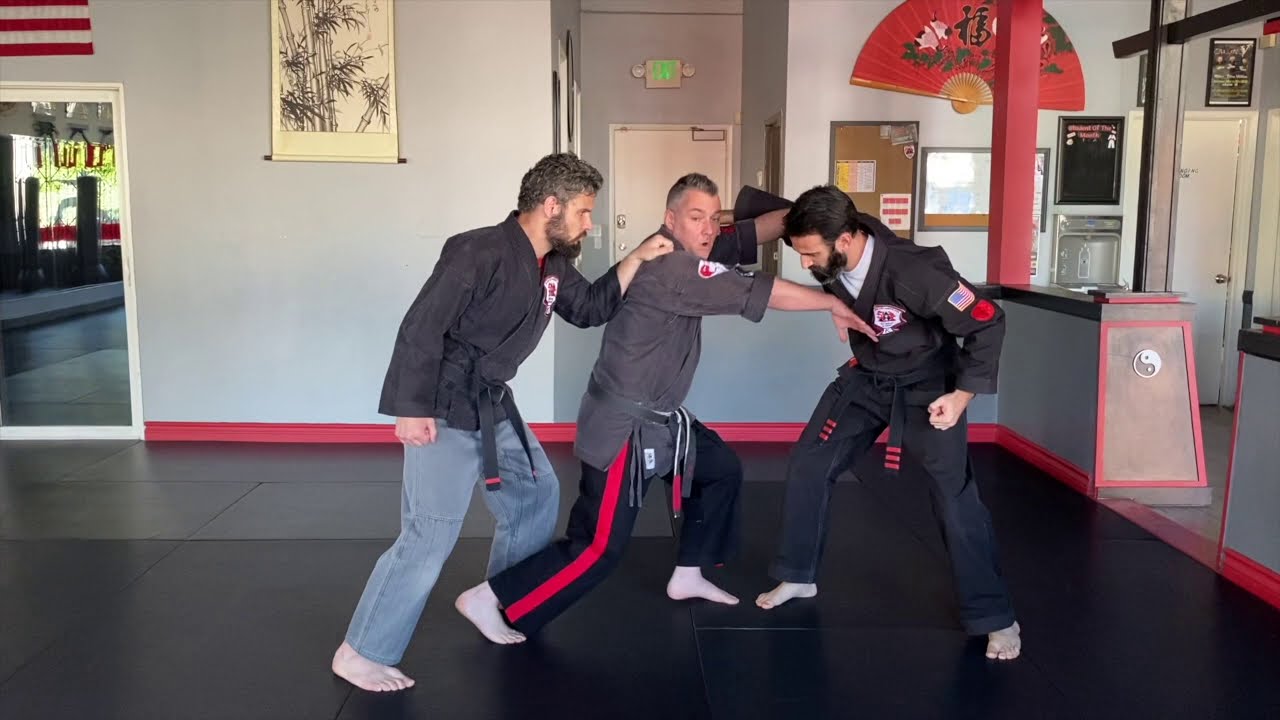 SASDA - Parting of the Snakes