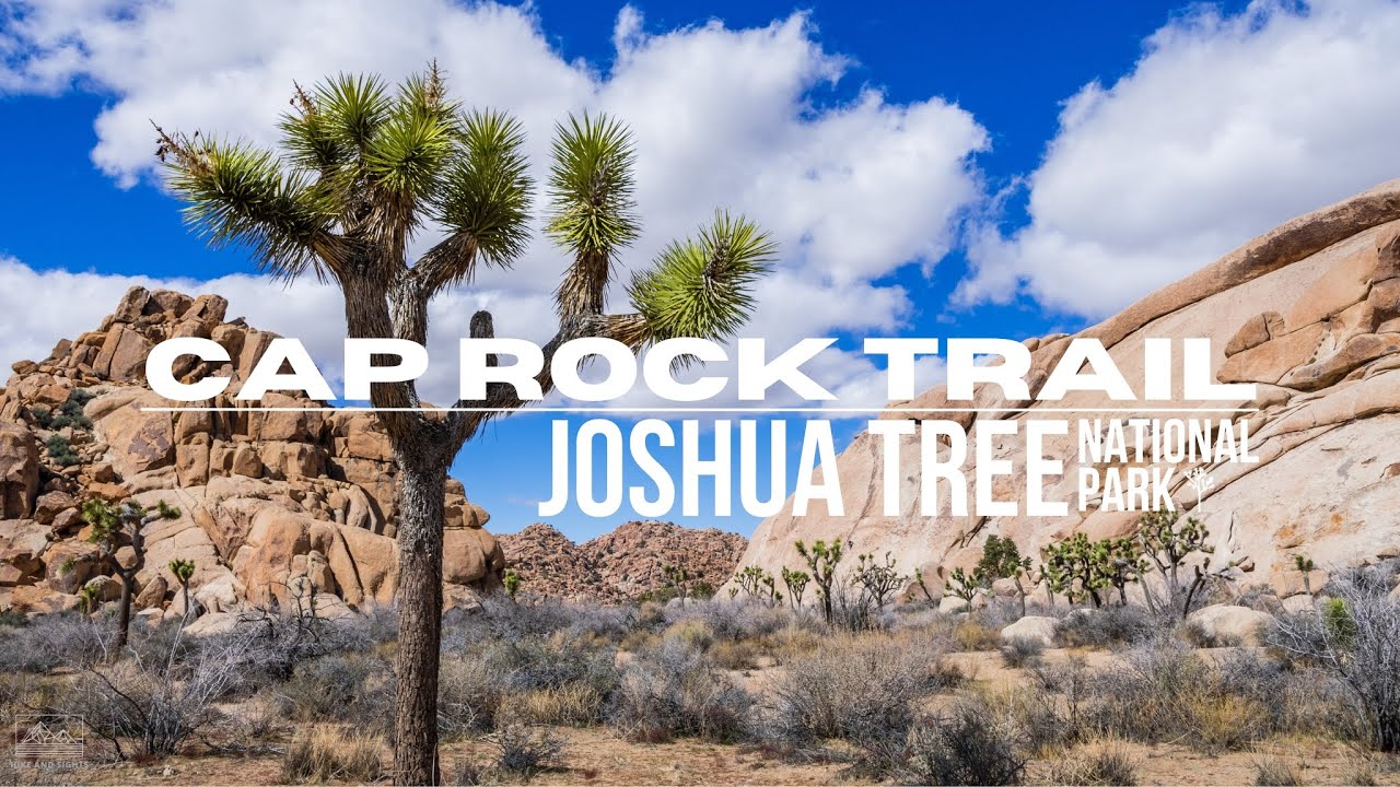 Hiking Joshua Tree National Park: Cap Rock Trail