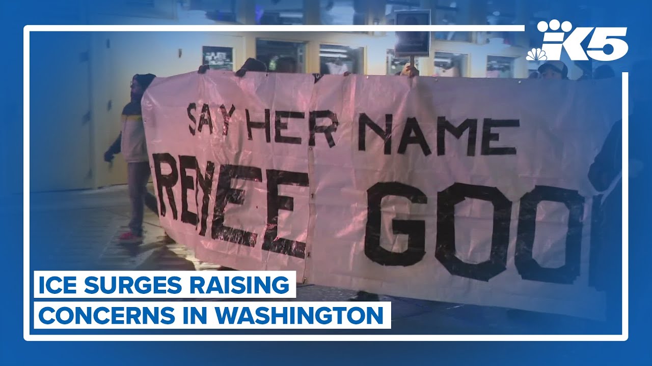 ICE surges raise concerns in Washington
