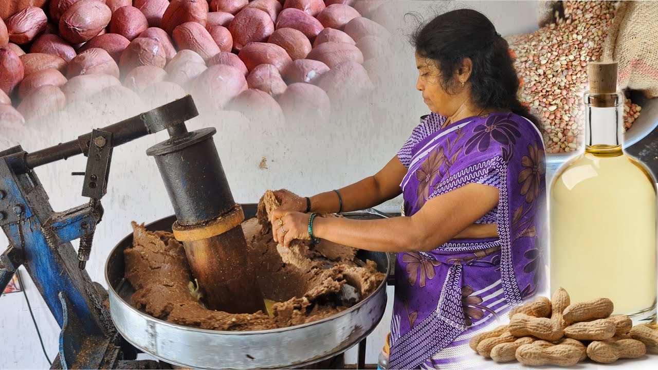 Making 100% Pure Organic Peanut Oil | How Groundnut Oil is Made? | Cold pressed Oil