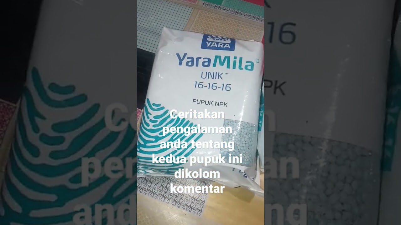 npk yara mila vs npk mutiara