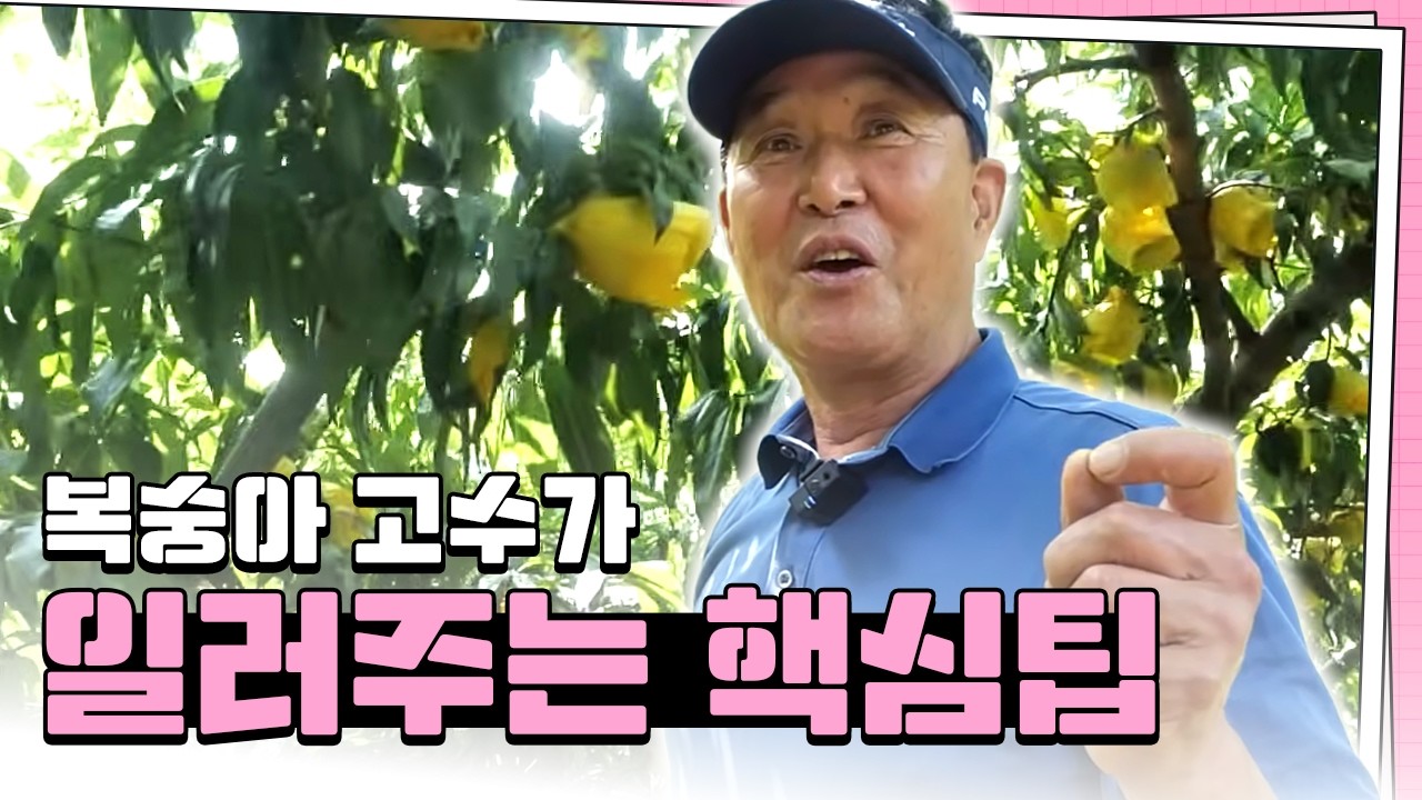 부주지에 바로 단과지 만들어라