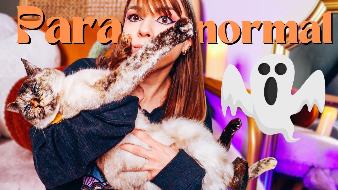 PARANORMAL ET CHATS 🐱 : Les Histoires Étranges d'Internet !