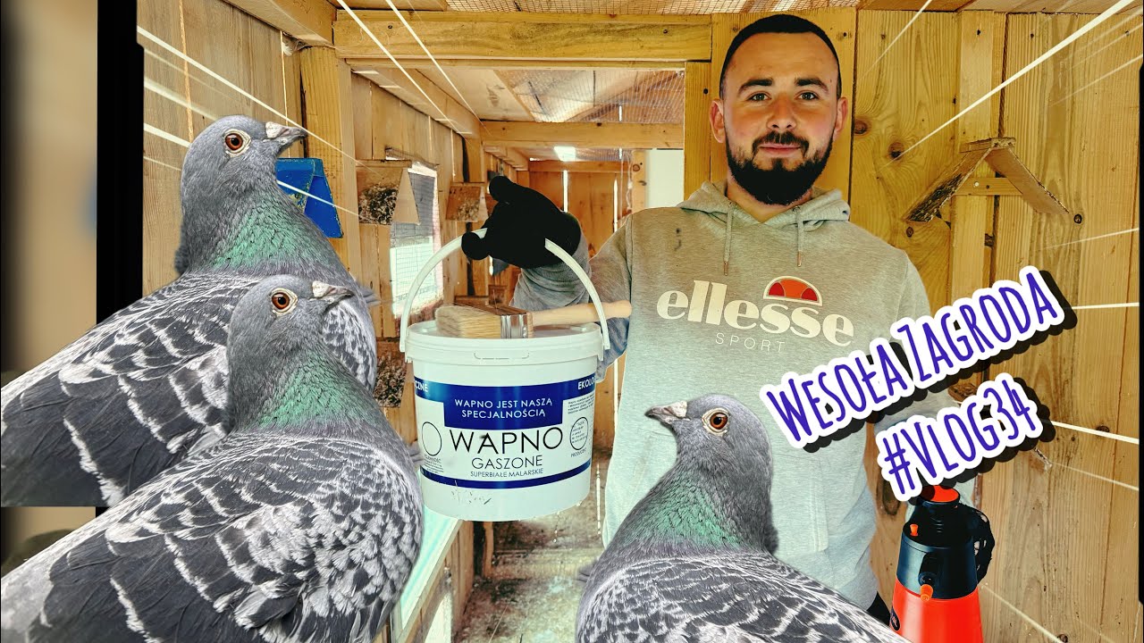 GDZIE SIĘ PODZIAŁY WSZYSTKIE GOŁĘBIE? 😮🕊️ dezynfekcja gołębnika | mini zoo | Wesoła Zagroda #vlog34