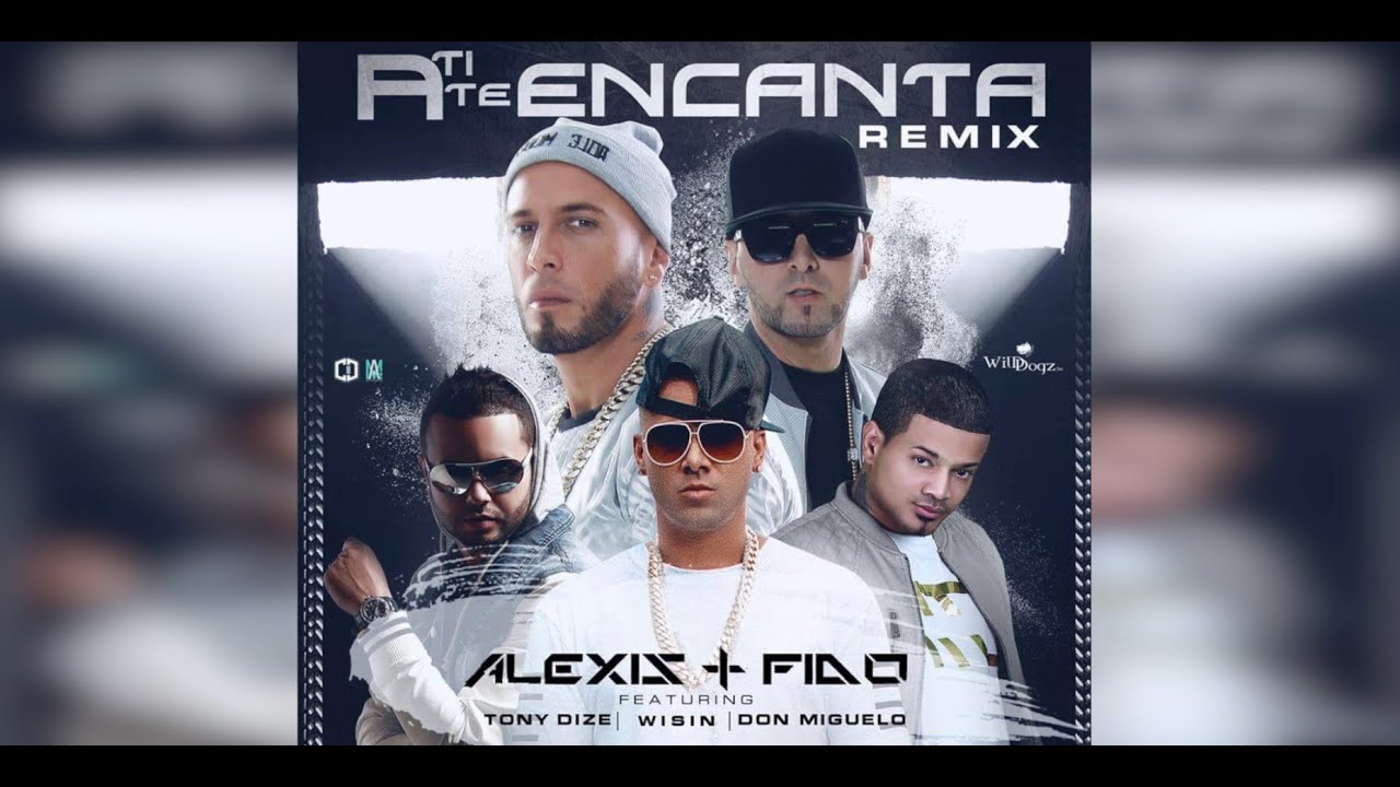 Alexis y Fido Feat Tony Dize, Wisin y Don Miguelo - A ti te encanta Remix