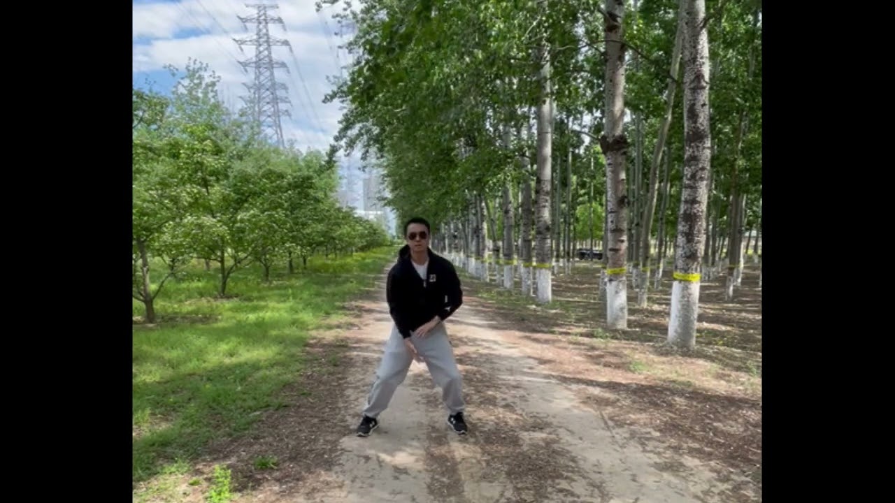 The 18 Methods Form | Emei Qigong Master Young Zhang