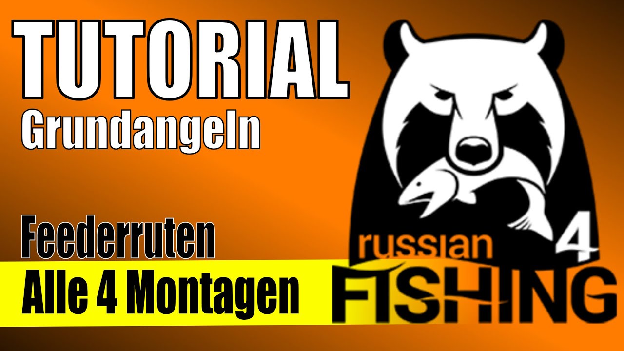 RF4 Feederruten - Tutorial Grundangeln - 🎣Feeder-Ruten und Feeder-Montagen! Grundangeln in #rf4