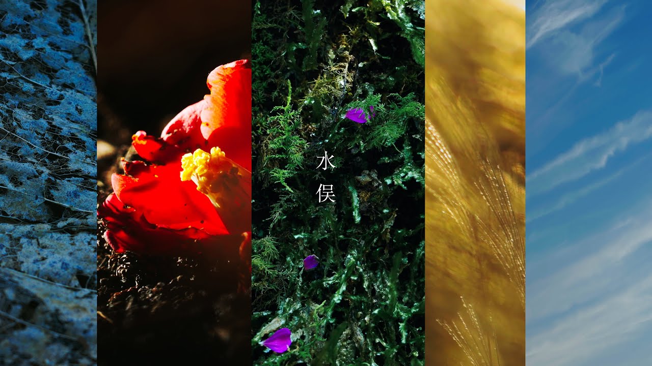 水俣