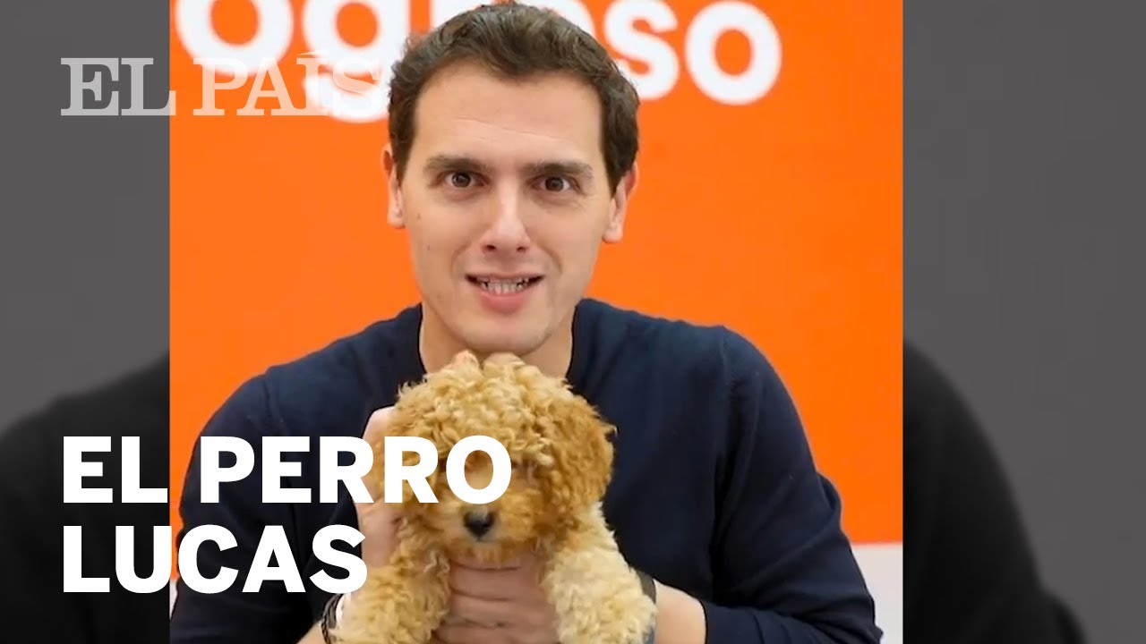 El PERRO LUCAS, el arma secreta de RIVERA en el DEBATE