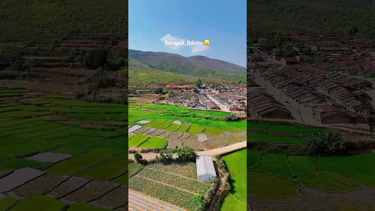 amazing village near Koraput, Odisha #odisha #koraput #nature #village