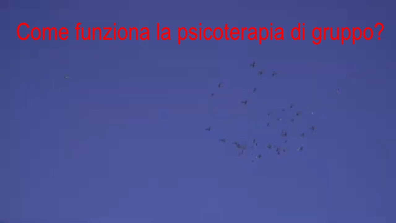 Come funziona la psicoterapia di gruppo?