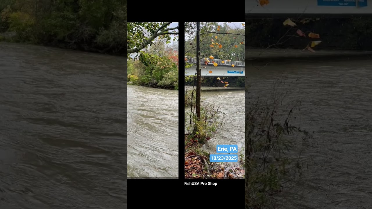 Steelhead/Erie Update 10/23/25 