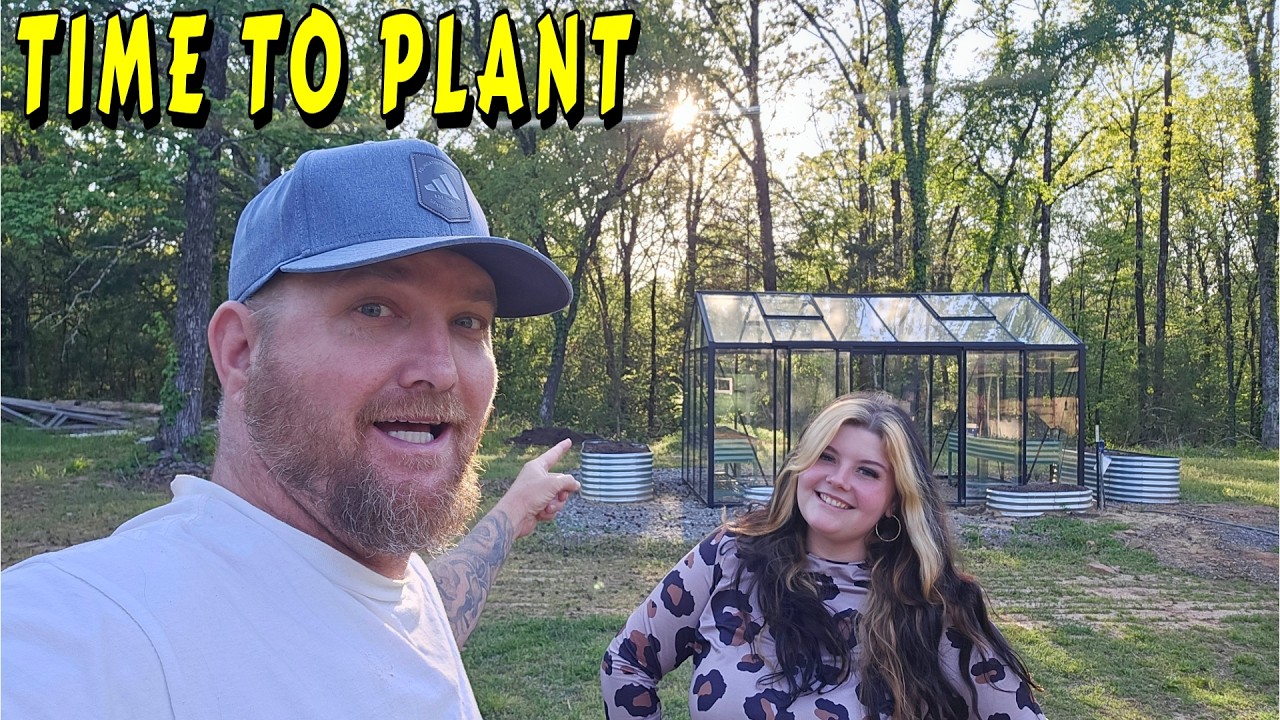 TOOK 4 YEARS TO GET TO THIS POINT |tiny house, homesteading, off-grid cabin build DIY HOW TO sawmill